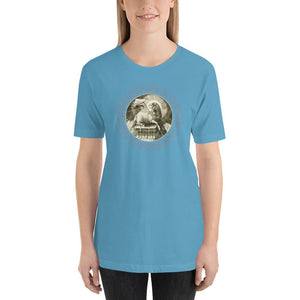 Agnus Dei with Easter Hymn T-Shirt - Catholicamtees