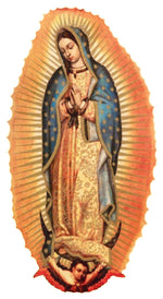 Load image into Gallery viewer, Our Lady of Guadalupe T-Shirt - Catholicamtees
