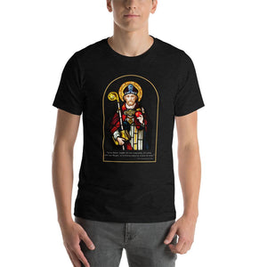 Saint Augustine of Hippo Stained Glass Soft-weight Tee Shirt - Catholicamtees