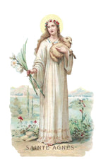 Load image into Gallery viewer, St. Agnes, Virgin and Martyr T-Shirt - Catholicamtees
