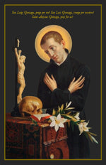 Load image into Gallery viewer, St. Aloysius Gonzaga at Prayer T-Shirt - Catholicamtees
