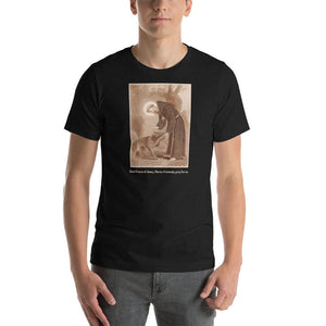 St. Francis of Assisi with the wolf of Gubbio T-Shirt - Catholicamtees