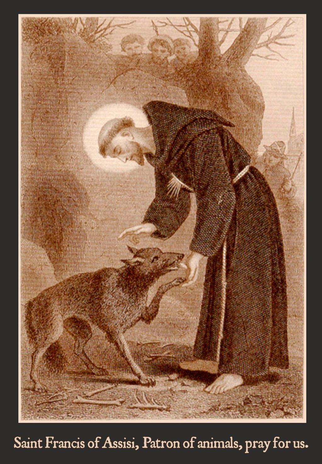 St. Francis of Assisi with the wolf of Gubbio T-Shirt - Catholicamtees