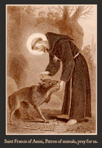 Load image into Gallery viewer, St. Francis of Assisi with the wolf of Gubbio T-Shirt - Catholicamtees
